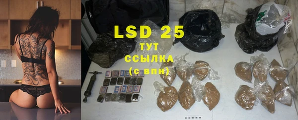 мдпв Бородино