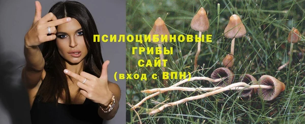 PSILOCYBIN Белокуриха