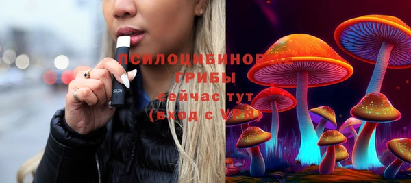 гидропоника Богородск