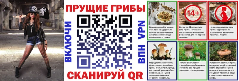 Псилоцибиновые грибы GOLDEN TEACHER  Плёс 